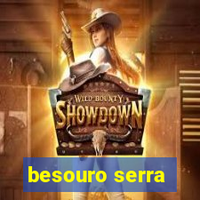 besouro serra-pau morde